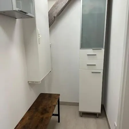 公寓 Rustica Im Alten Speicher